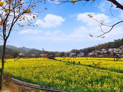 -红山村