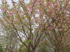 -艾溪湖湿地公园