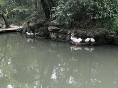 -兰亭风景区