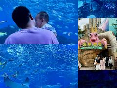 -海合安成都极地海洋公园