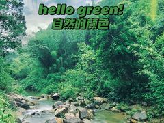 -广州白江湖森林公园