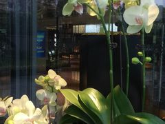 -杭州龙禧福朋喜来登酒店