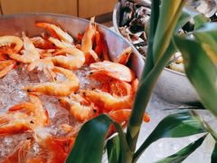 -北京王府井希尔顿酒店·万斯阁西餐厅