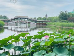 -西海子公园