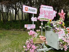 -顾村公园