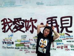 -猫咪博物馆(顶澳仔猫街店)