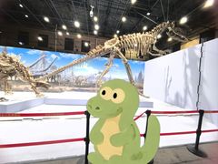 -国家自然博物馆