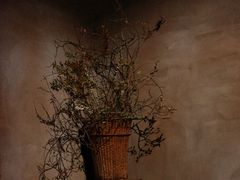 景观位-曲廊院(东四十一条店)