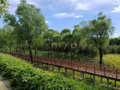 -皇家御河游(紫御湾码头)