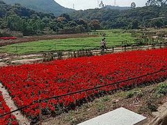 -清溪大王山森林公园