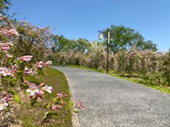 -张家湾公园