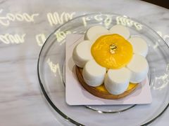 -夏佐CHASEL(横店康庄路店)