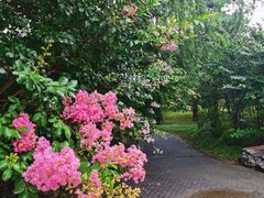 -国家植物园南园