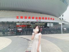 -成都金融城演艺中心