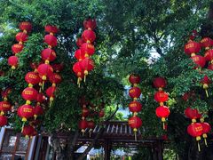 -深圳仙湖植物园