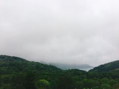 -天坛大佛