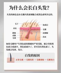-希梵尔头皮抗衰·科技养发