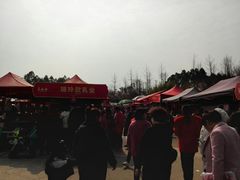 -秀丽东方