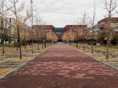 -东北大学(南湖校区)