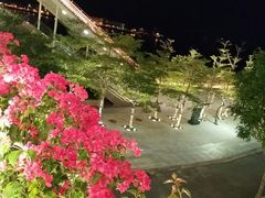 -横琴客运码头