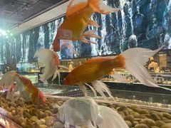 -云境生态园(红谷滩店)