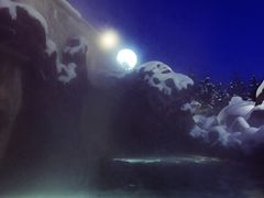 -汉拿山温泉度假酒店