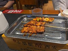 -福苗小骆驼烧烤(望京店)