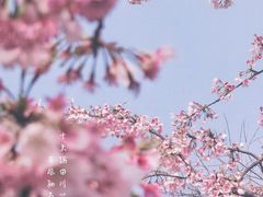 -静安雕塑公园
