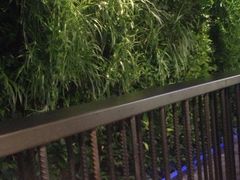 -青年公社烤鸭(蜀山万象汇店)