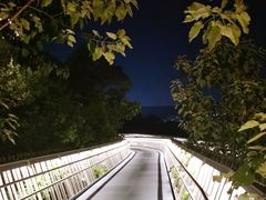 -福道