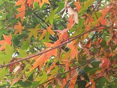 -共青国家森林公园-售票处