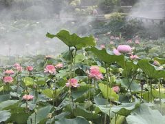 -广州莲花山旅游区