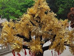 -青岩寺风景区