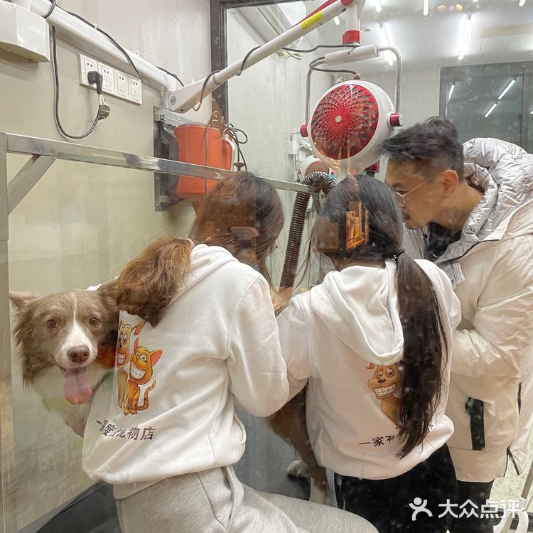 小佩真的是一家非常有爱的宠物洗护店呀～