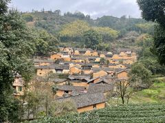 -杨家堂村