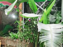 -艾加柒克蛋糕茶歇甜品台(春熙路店)