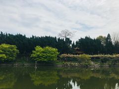 -嘉定紫藤园