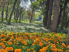 -狼山风景名胜区