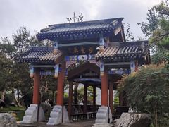 -中国唐苑