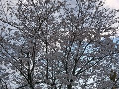 -长田漾湿地公园