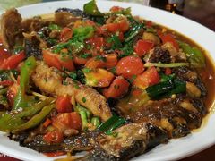 -生态苑农庄(十里画廊遇龙河店)