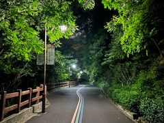 -杭州半山国家森林公园