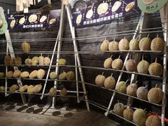 -都念榴莲·城市榴莲