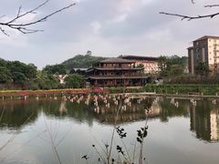 景点-望天湖