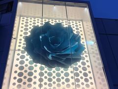 -迪卡侬(西三旗店)