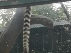 -泉州海丝野生动物世界