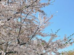 -龙美术馆(西岸馆)
