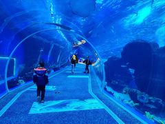 -成都浩海立方海洋公园