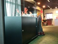 -绮丽珊瑚(台北101旗舰门市店)