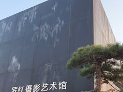 -罗红摄影艺术馆